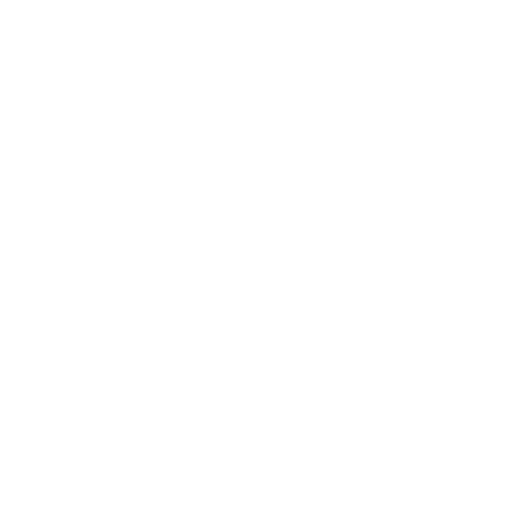Income received icon